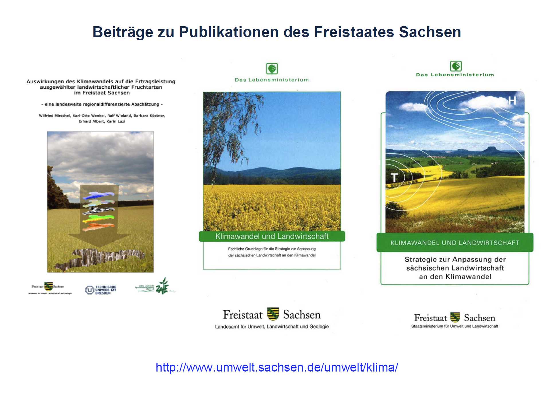 19/19 - Beiträge zu Publikationen des Freistaates Sachsen