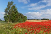 Autor: Thorsten Schier@Fotolia (169460493 S)